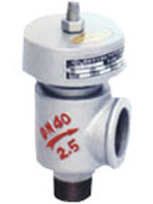 安全閥的種類 青島益精機械有限公司