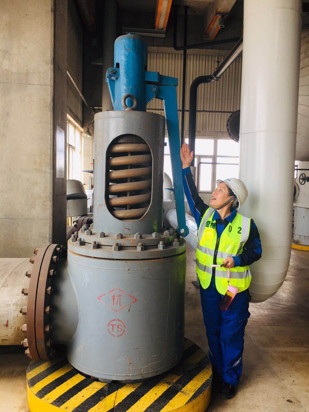 大口徑安全閥維修